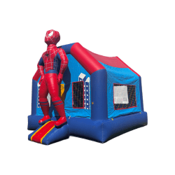 53A17D5A E776 41F1 B77F FA8021EE5A25 1745295368 Deluxe Spiderman House